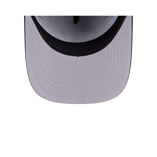 Wile E Coyote Looney Tunes 9FIFTY A-Frame Snapback